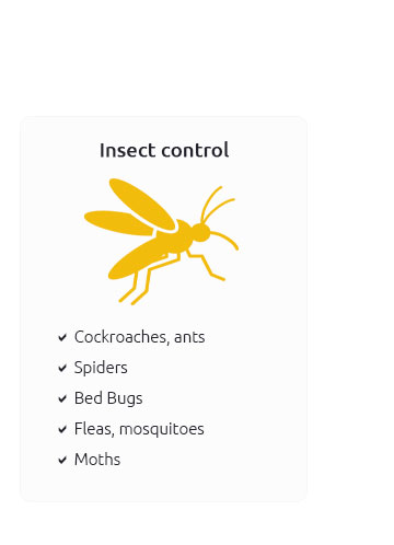 Bug Control Near Me 🛑 Jan 2025