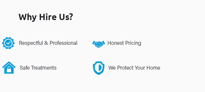 Bug Control Near Me 🛑 Jan 2025